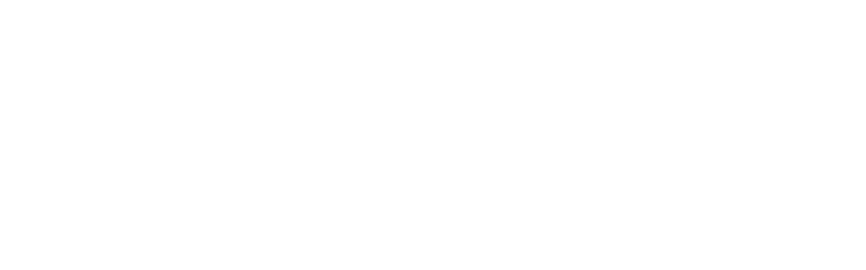 logo555